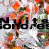 Nuit Sonores  LYON